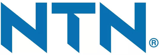 NTN logo